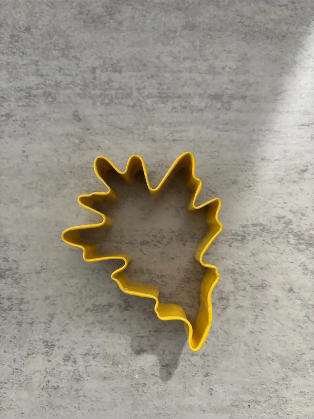 Assorted Fall Leaf and Pumpkin Cookie Cutters - Kids Accessories